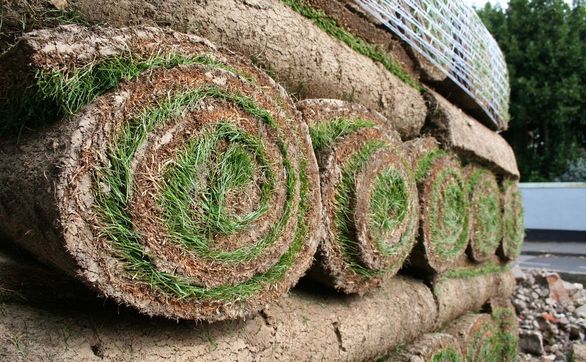 Przejdź do artykułu - W jaki sposób założyć trawnik z rolki